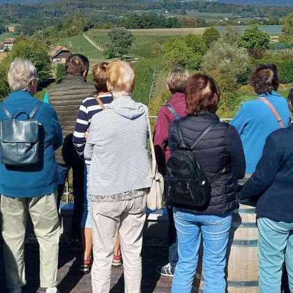 05-aussicht-rebberg