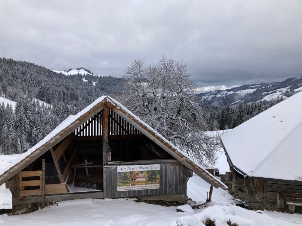 Trüschhubel-Hütte 2