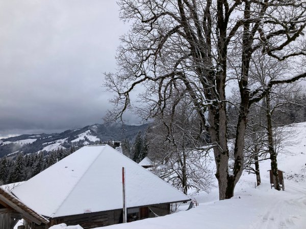 Trüschhubel-Hütte 1
