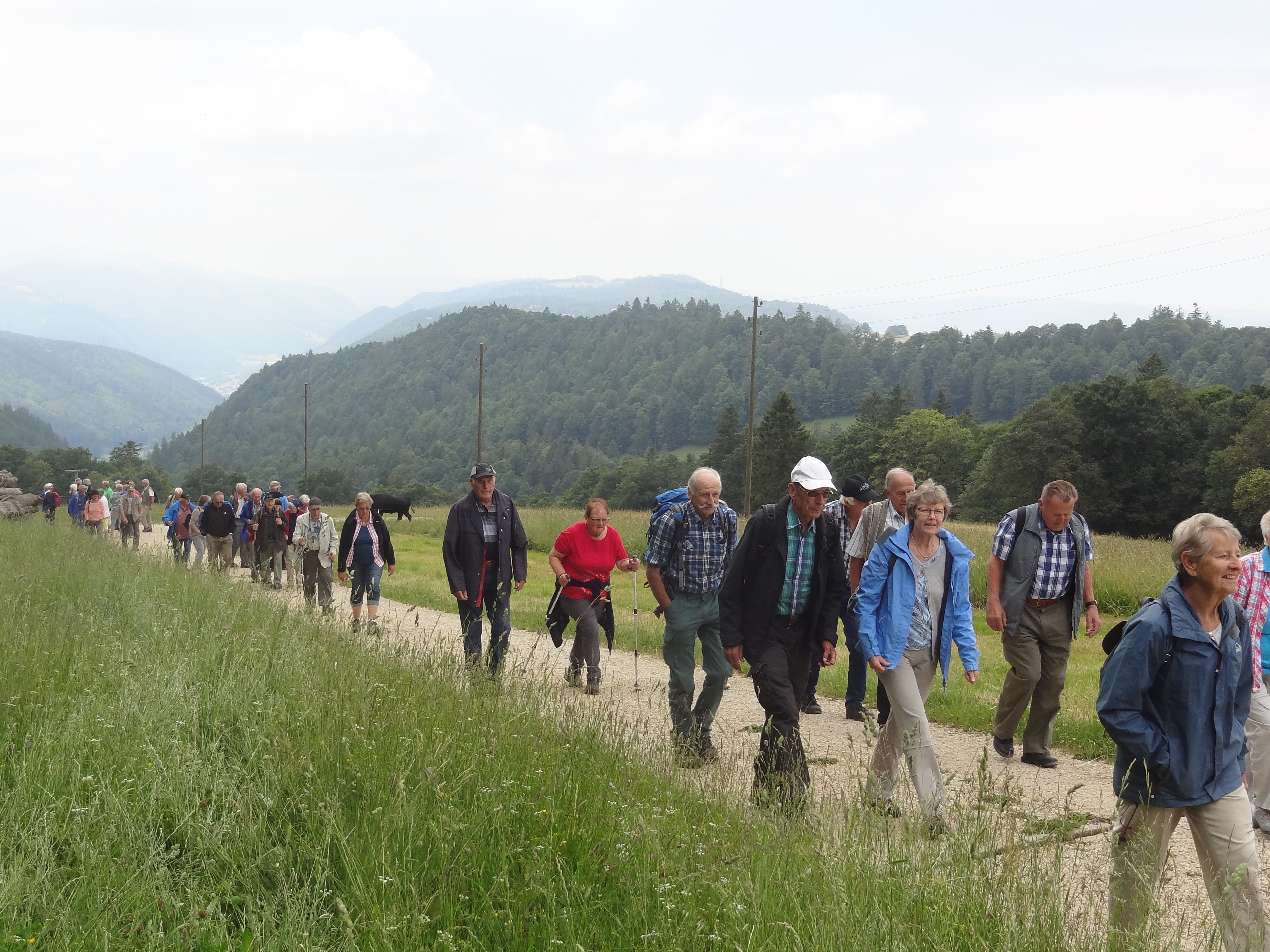 Alpwanderung 2019