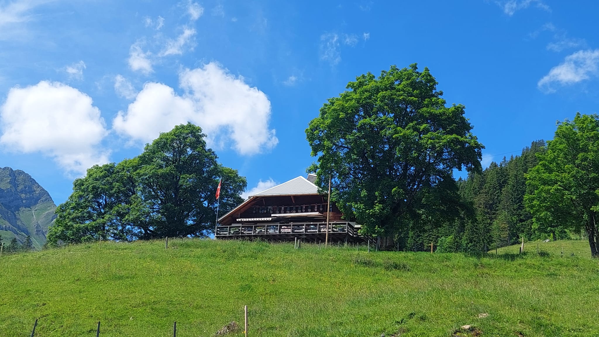 Alpwanderung 2024