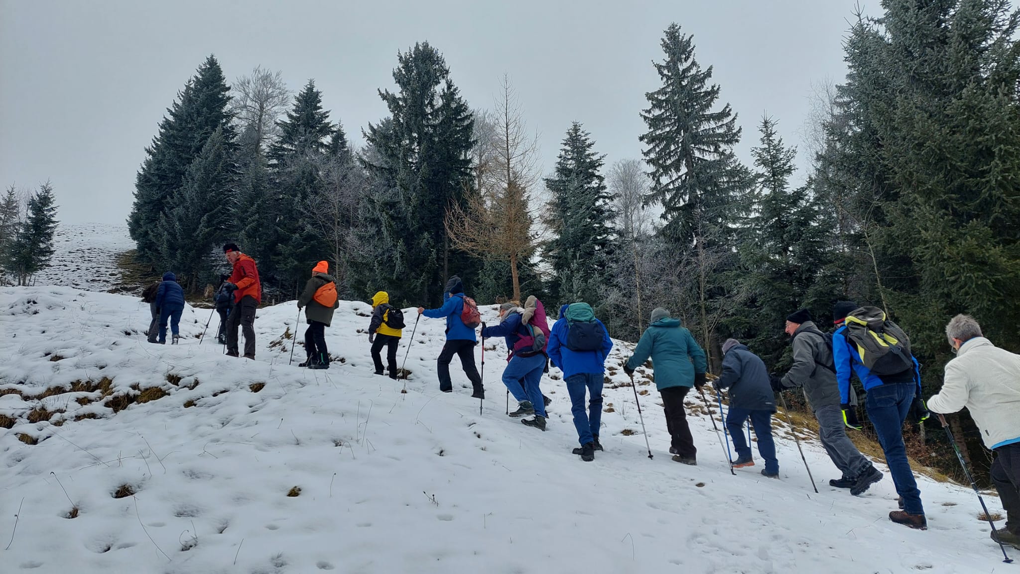 Winterwanderung 2025