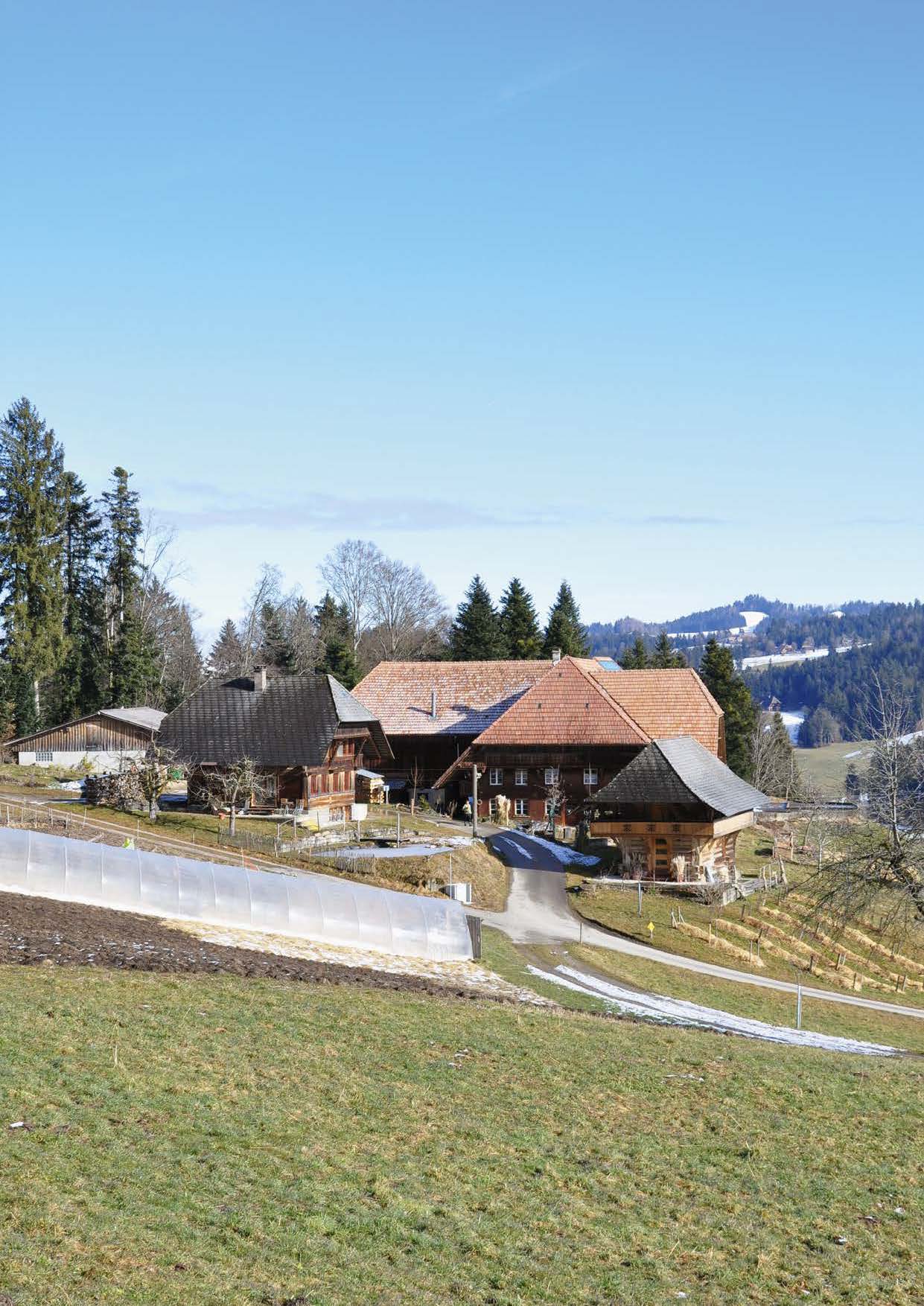 Forum: Timon und Lea Wüthrich