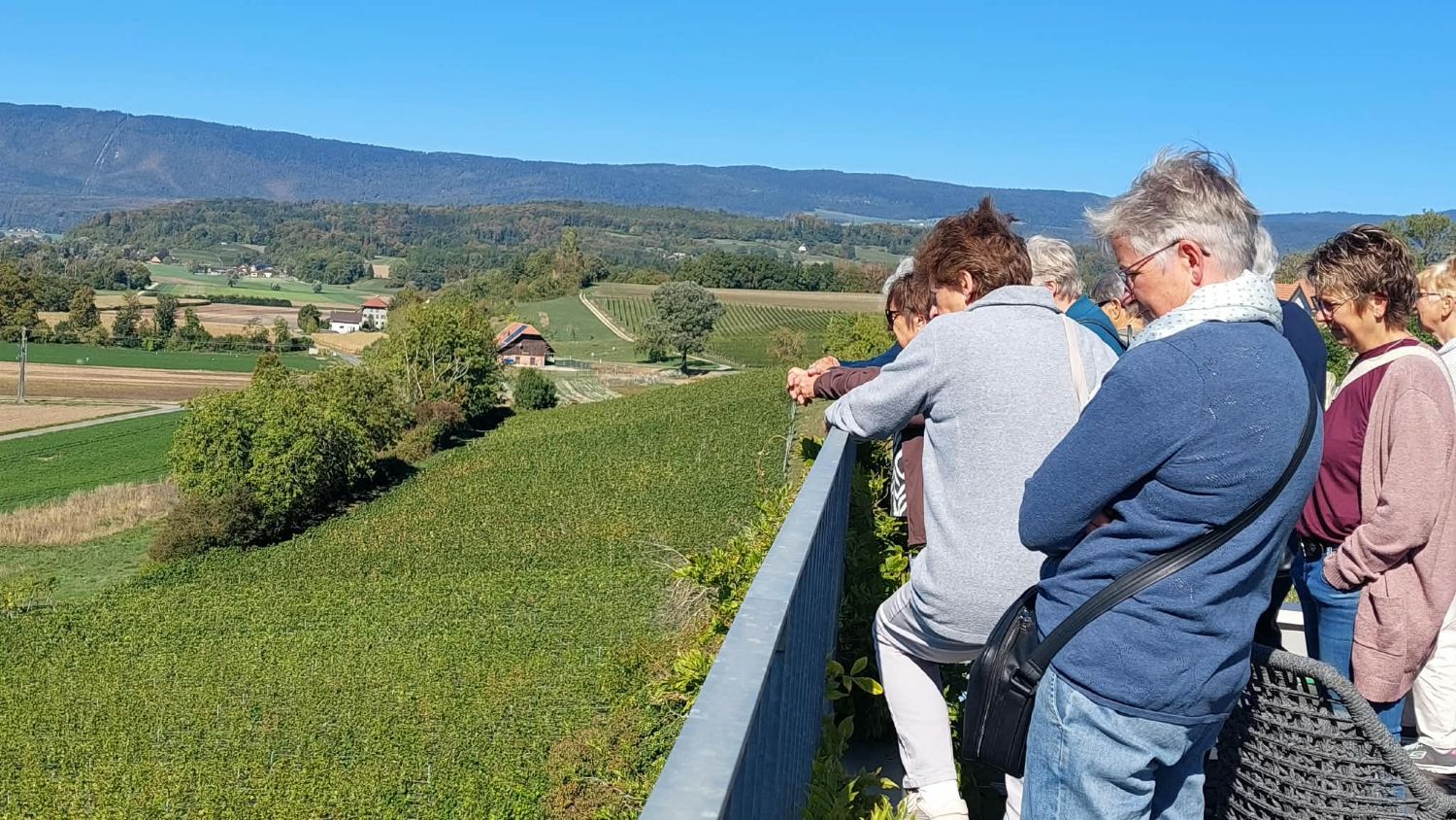 Frauen-Herbstausflug: Weingut Hämmerli und Centre Albert Anker